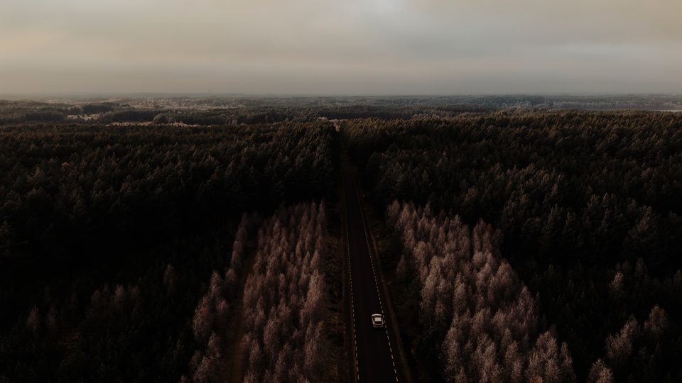 Szeroki kadr reportażowy